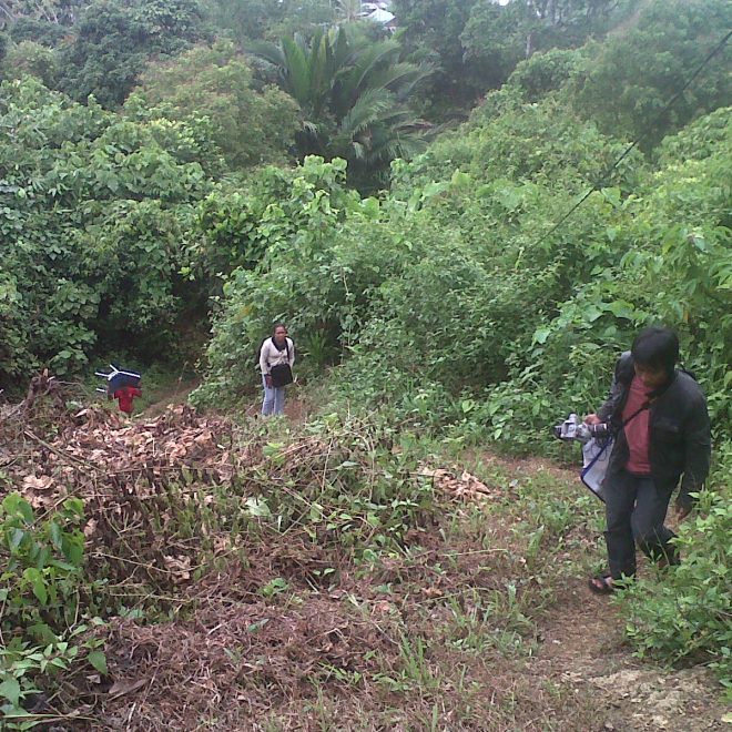 Tugas Jurnalistik ke Papua: Satu Angkot dengan Babi, Tiap Hari Makan Ubi sampai Kematian Tragis 4 Peserta Training
