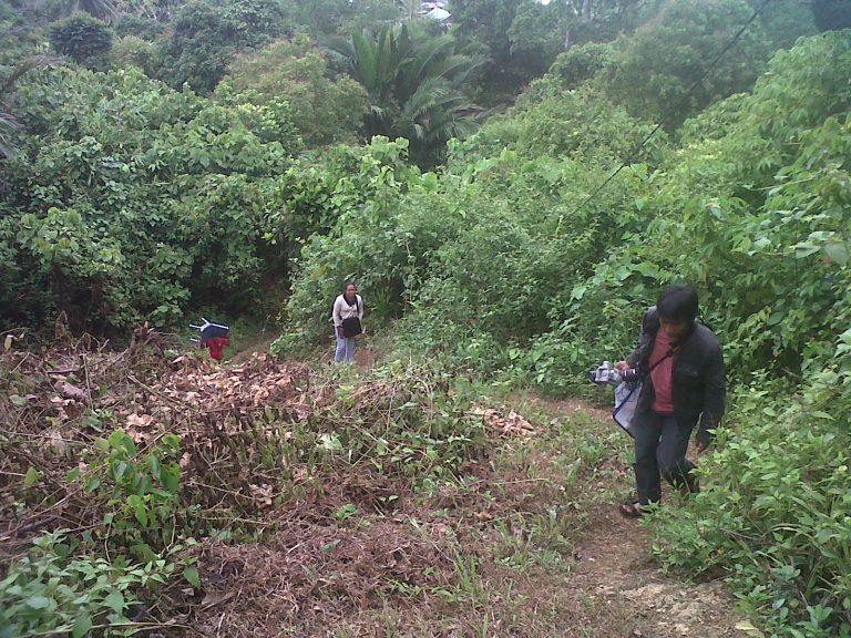Tugas Jurnalistik ke Papua: Satu Angkot dengan Babi, Tiap Hari Makan Ubi sampai Kematian Tragis 4 Peserta Training