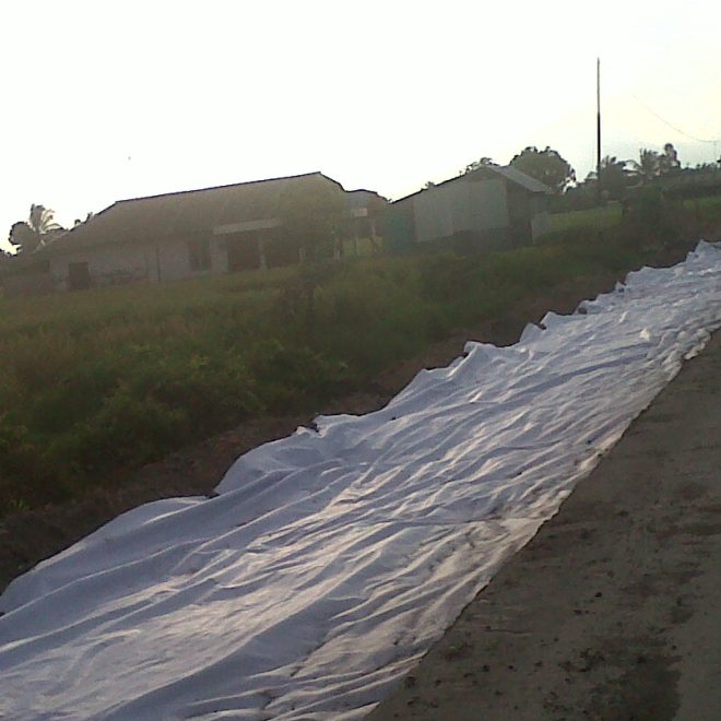 Pulang Pisau Kalteng Butuh Dana  2M untuk  Bangun 1 Kilo Meter Jalan